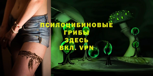 прущие грибы Балахна