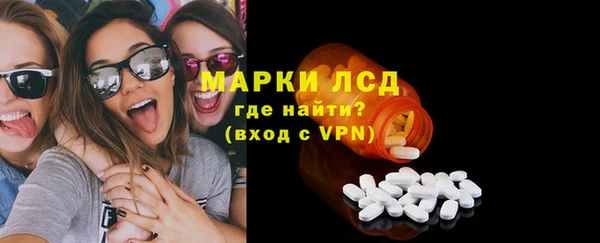 прущие грибы Балахна