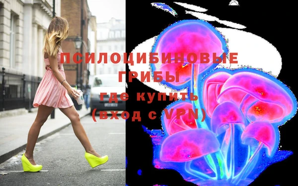 прущие грибы Балахна