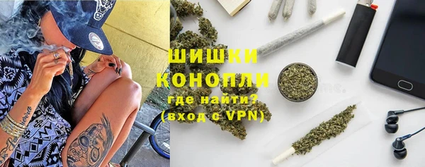 прущие грибы Балахна