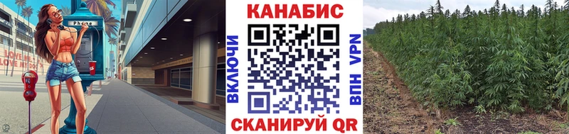 omg как войти  Северо-Курильск  Бошки марихуана Amnesia 